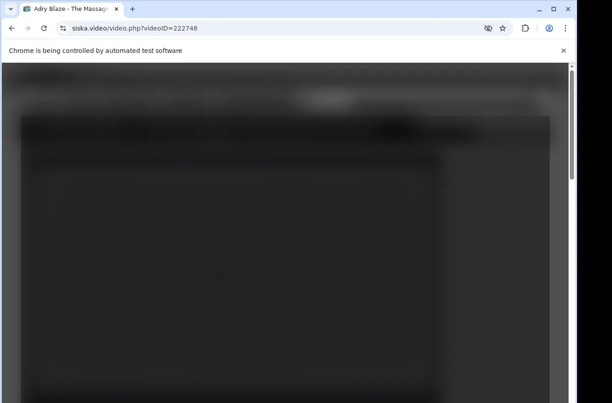 Siska Video Downloader screenshot 2