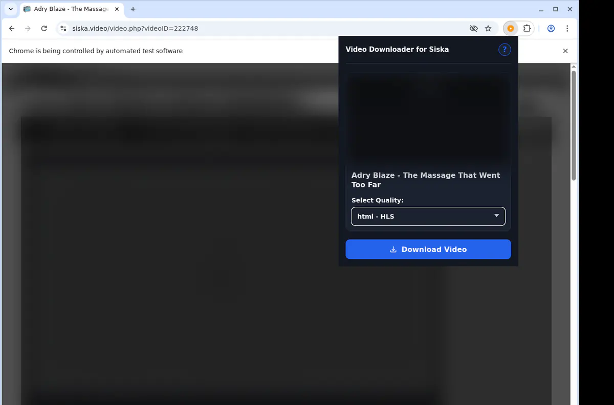 Siska Video Downloader screenshot 3