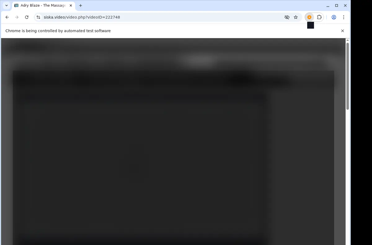 Siska Video Downloader screenshot 5